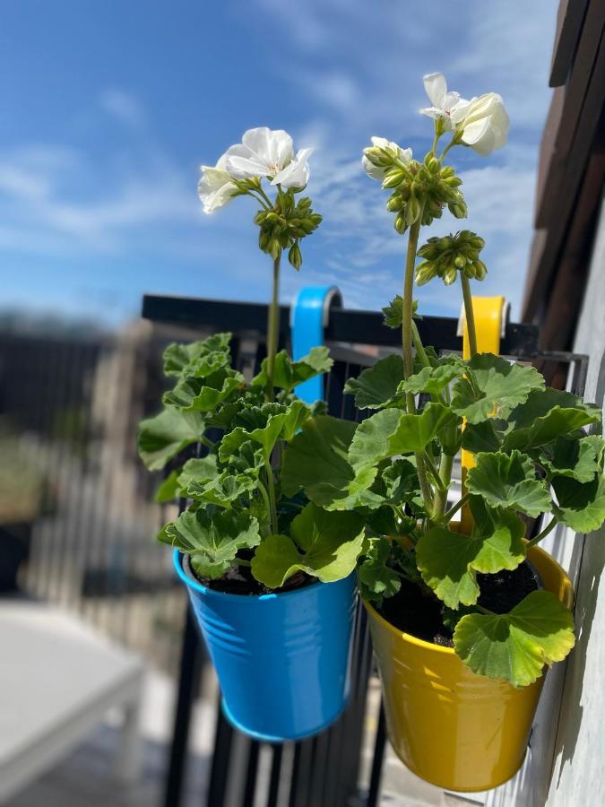Coxy Penthouse Koksijde Apartman Kültér fotó